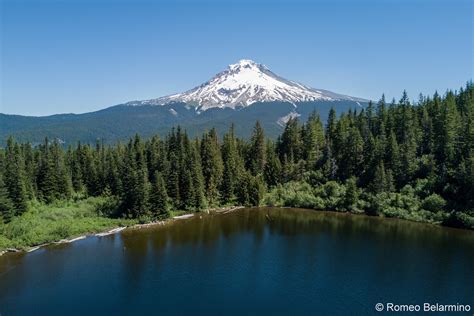 Mt hood forest - We’ve put together a list of the best Mount Hood hikes, covering trails for beginners all the way up to challenging hikes for serious backpackers only. 1. Tom Dick and Harry Mountain Trail. Distance: 9.0 miles, out-and-back. Elevation: 1,709 feet.